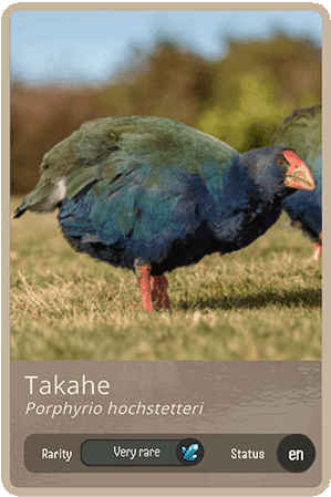 Takahē