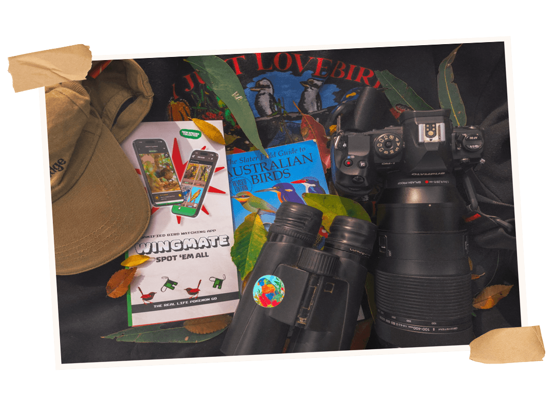 Wingmate app beside binoculars, an Olympus camera and the Slater field guide to Australian birds, styled as a taped-in scrapbook photo